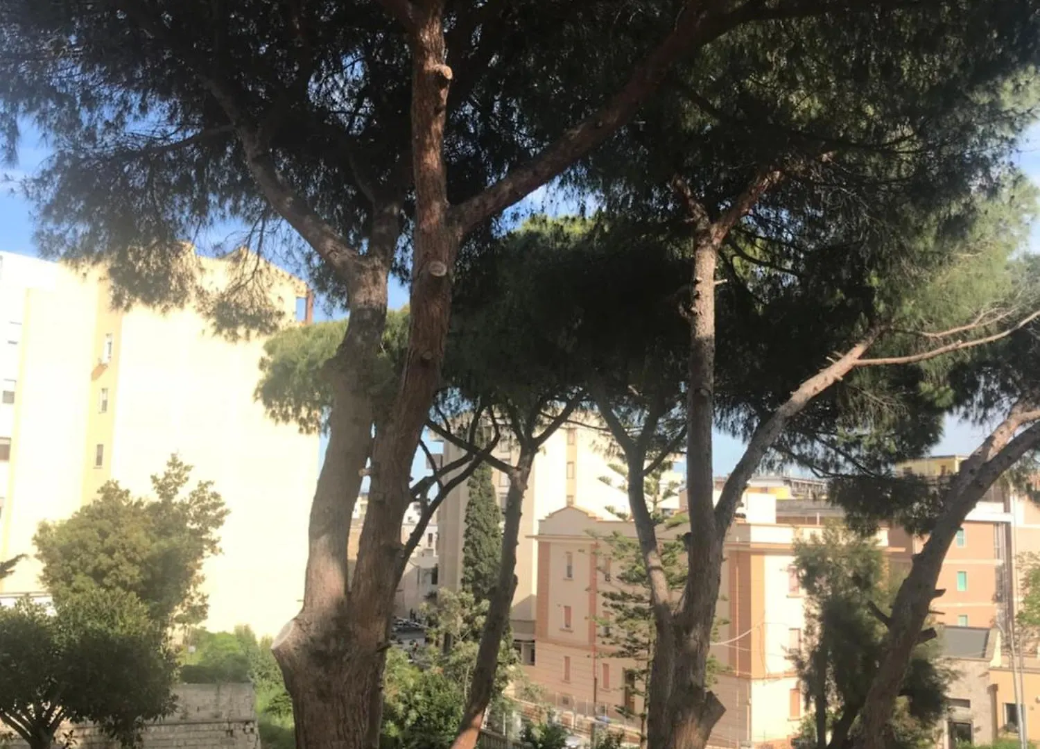 Villa San Giuseppe 布林迪西 0*,  意大利
